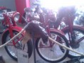 /album/muzeum/a20140523-093115-jpg/